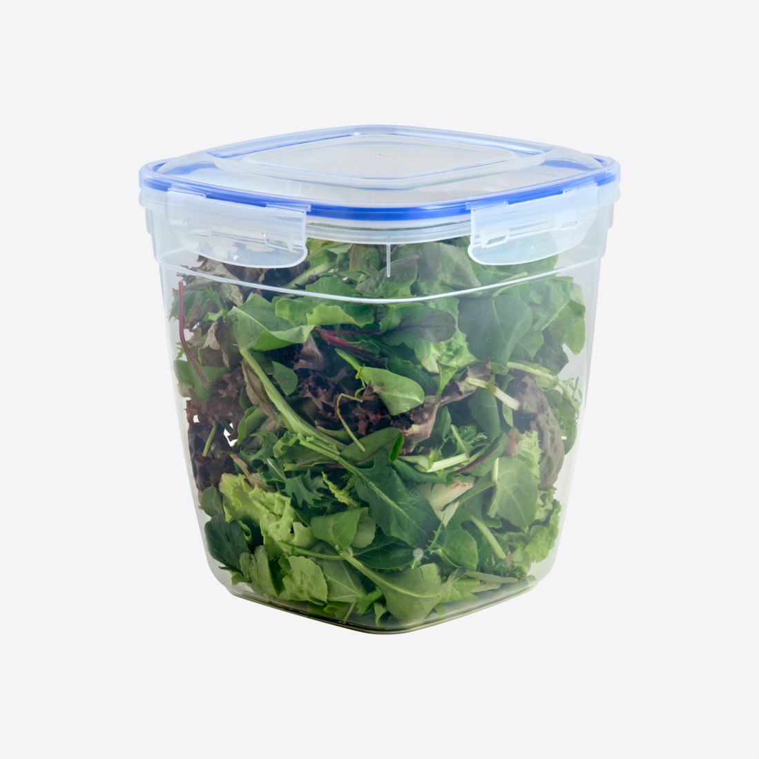 Dunya 5000 ml Seal Square