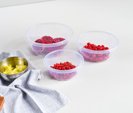 Dunya 4,5 L Transparent Round Basin