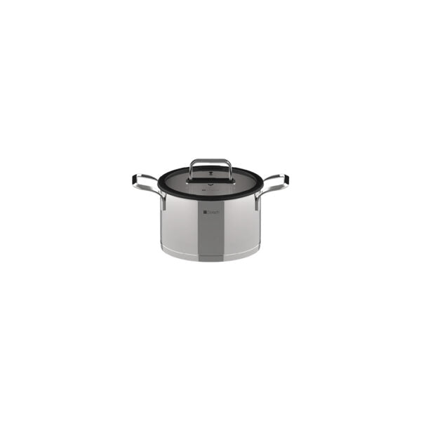 Dorsch Stainless Steel Pot 20cm 3.9l