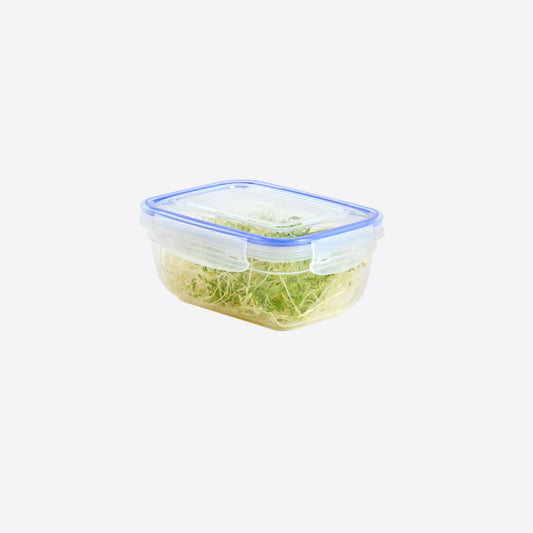 Dunya 800 ml Seal Rectangular