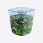 Dunya 5000 ml Seal Square