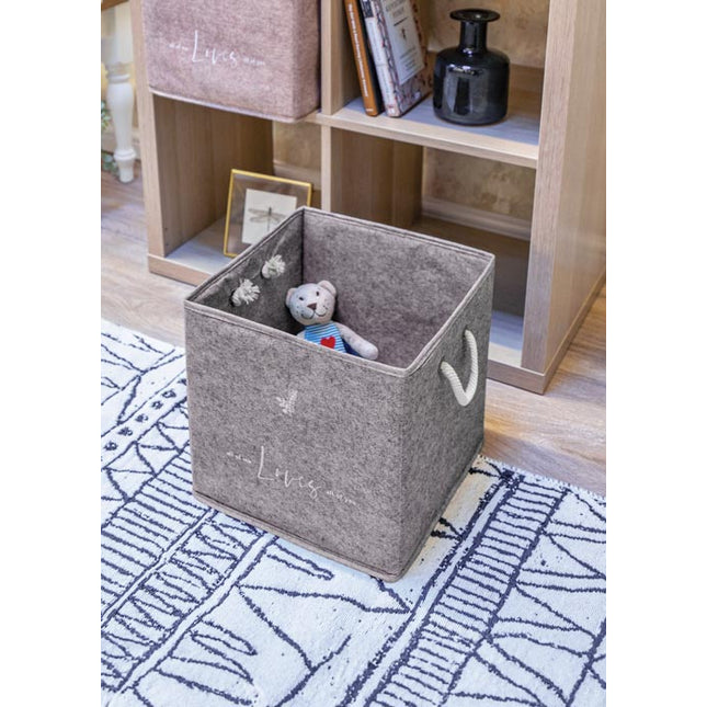 منظم تخزين ألاز