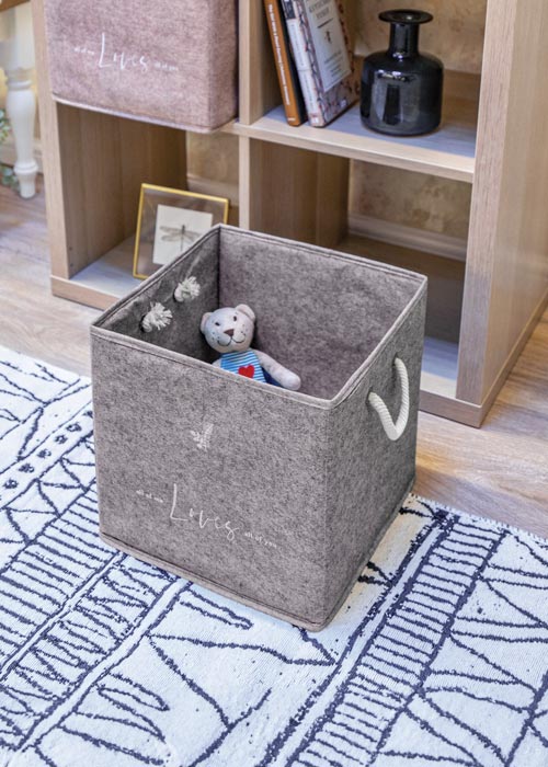 Alaz storage organizer
