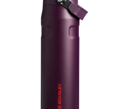 STANLEY The IceFlow™ Bottle with Flip Straw Lid  16 OZ Original