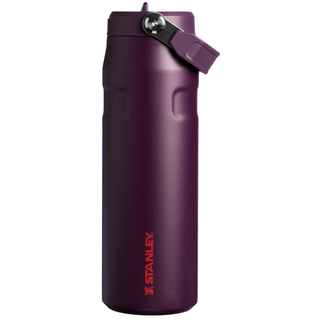 STANLEY The IceFlow™ Bottle with Flip Straw Lid  16 OZ Original