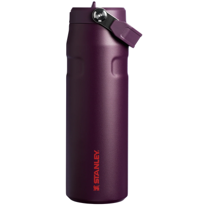 STANLEY The IceFlow™ Bottle with Flip Straw Lid  16 OZ Original