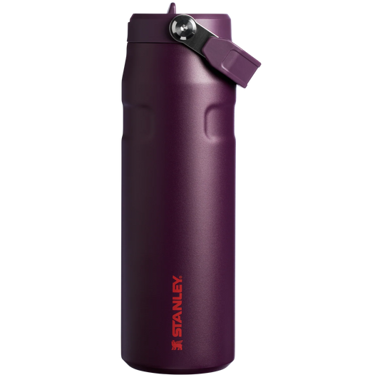 STANLEY The IceFlow™ Bottle with Flip Straw Lid  16 OZ Original