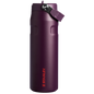STANLEY The IceFlow™ Bottle with Flip Straw Lid  16 OZ Original