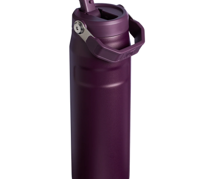 STANLEY The IceFlow™ Bottle with Flip Straw Lid  16 OZ Original
