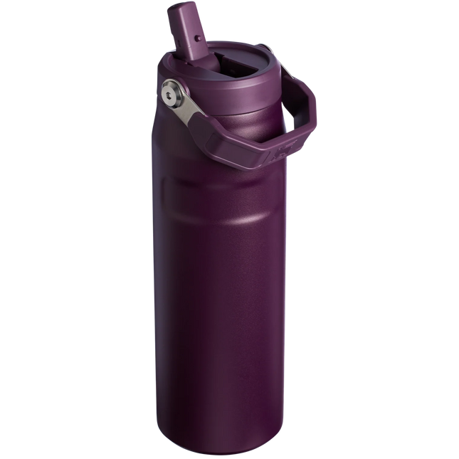 STANLEY The IceFlow™ Bottle with Flip Straw Lid  16 OZ Original