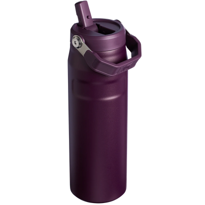 STANLEY The IceFlow™ Bottle with Flip Straw Lid  16 OZ Original
