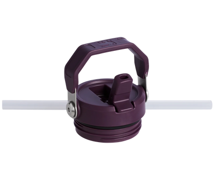 STANLEY The IceFlow™ Bottle with Flip Straw Lid  16 OZ Original