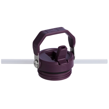 STANLEY The IceFlow™ Bottle with Flip Straw Lid  16 OZ Original
