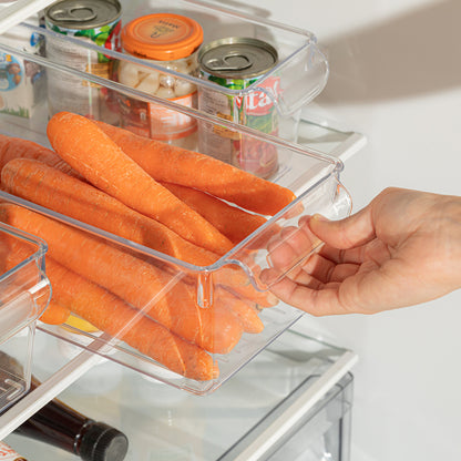 Dunya 200x325x100 Ultra Clear Refrigator Organizer